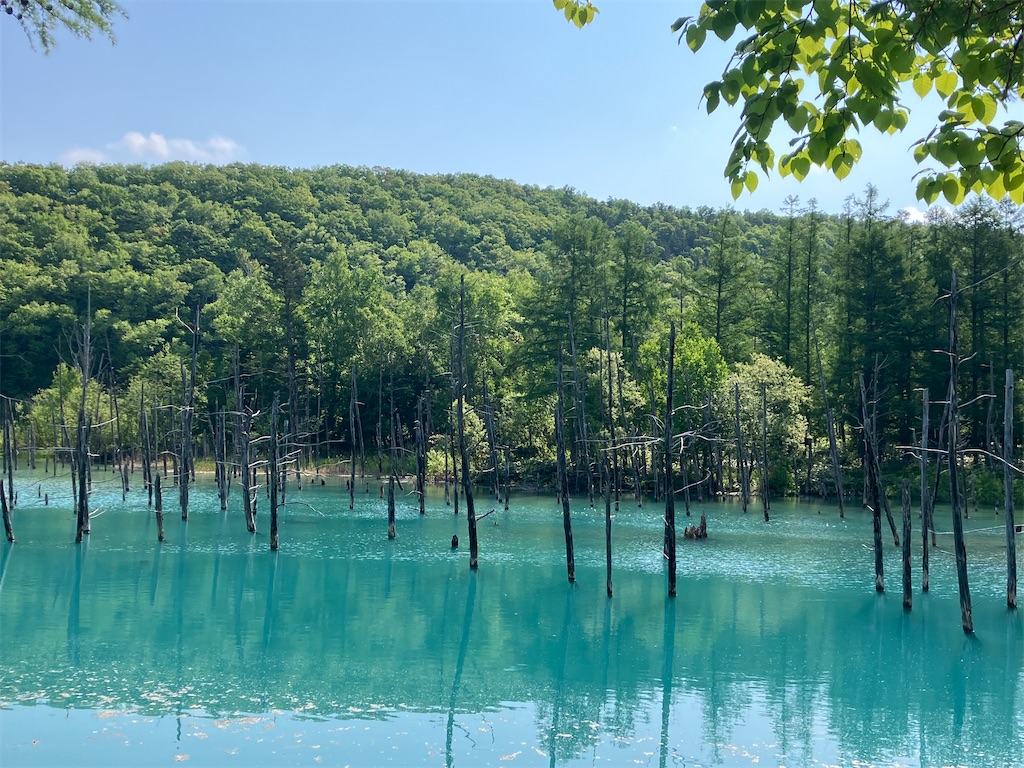 f:id:bookmarker330:20250602232809j:image