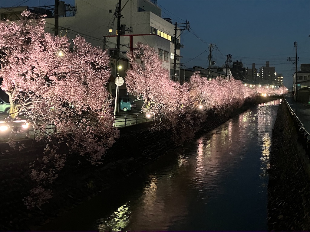 f:id:bookmarker330:20260401211707j:image