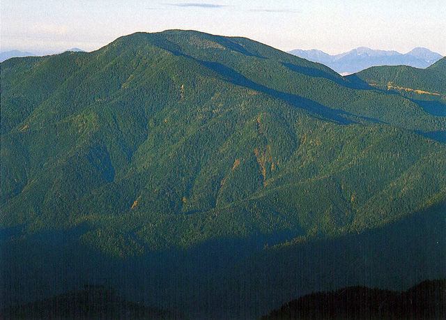 国師ヶ岳 - こくしがたけ：標高2,592ｍ