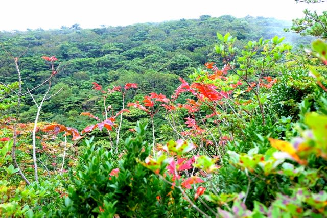 安達太良山 - ◆ＢｏｏｋＢｏｏｋＢｏｏｋ◆