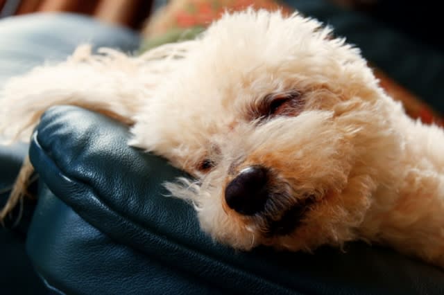 見送る秋 - ◆BookBookBook◆