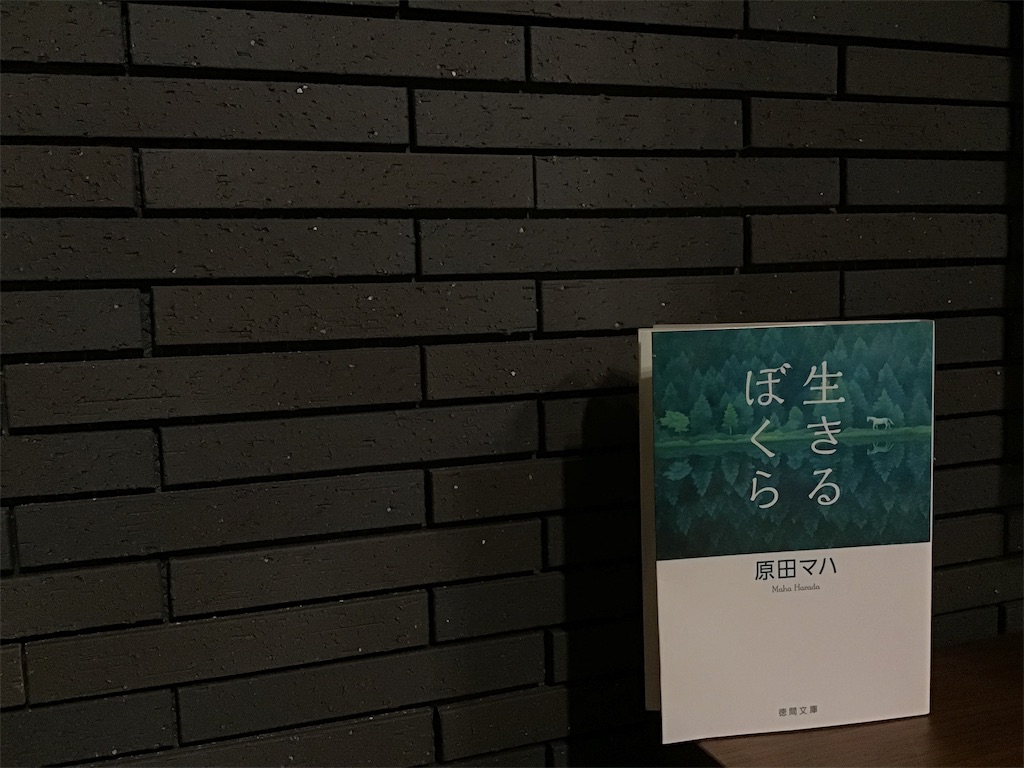 f:id:bookrecord_ly:20190825192324j:image