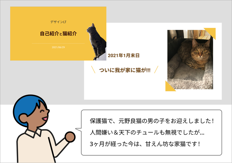 保護猫で、元野良猫の男の子をお迎えしました！