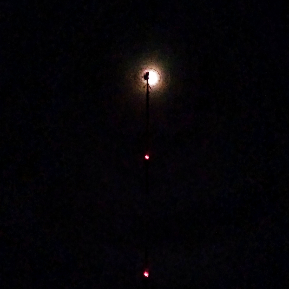 f:id:boon2187:20191110200035j:plain
