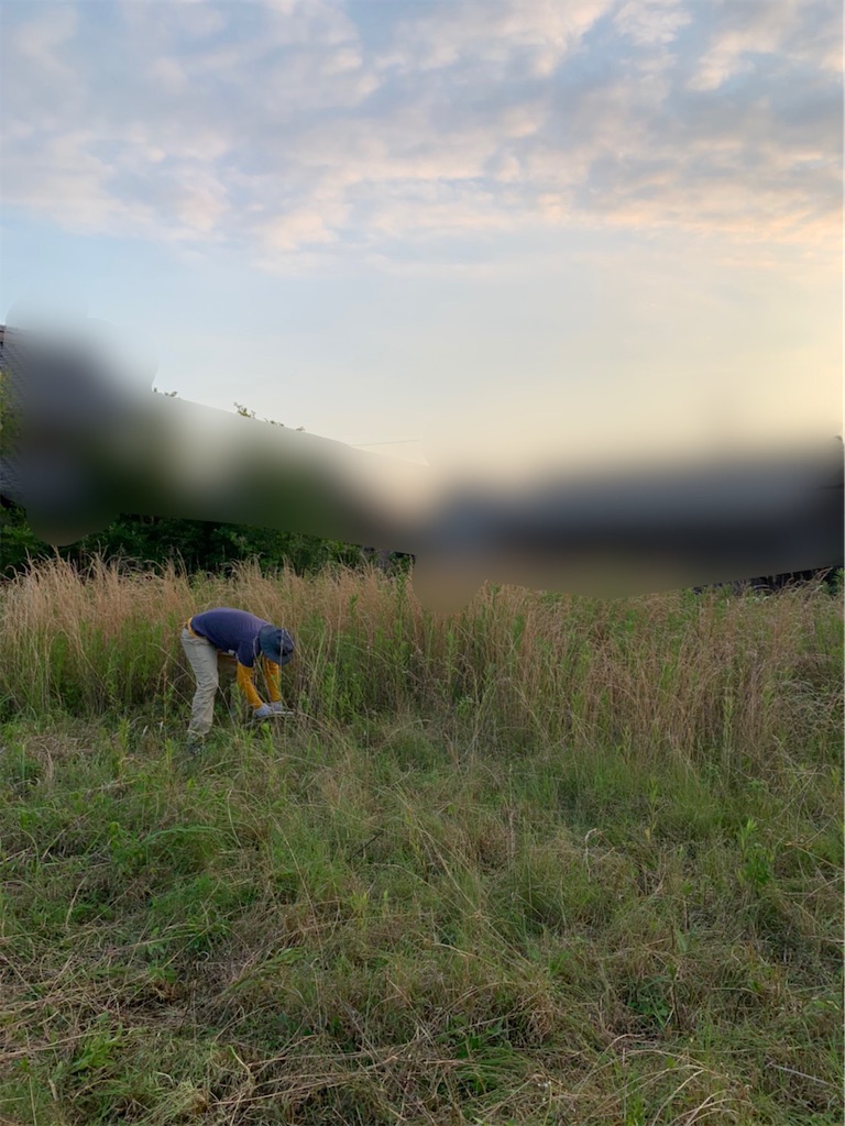 f:id:boonosuke:20210725102601j:image f:id:boonosuke:20210725102601j:image