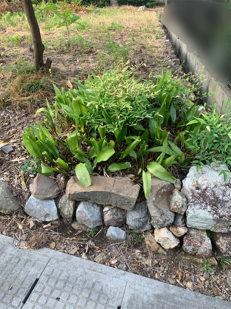 f:id:boonosuke:20210810190914p:image