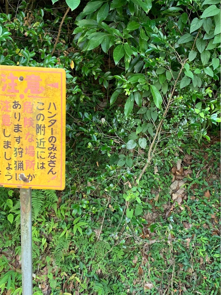 f:id:boonosuke:20220705181156j:image
