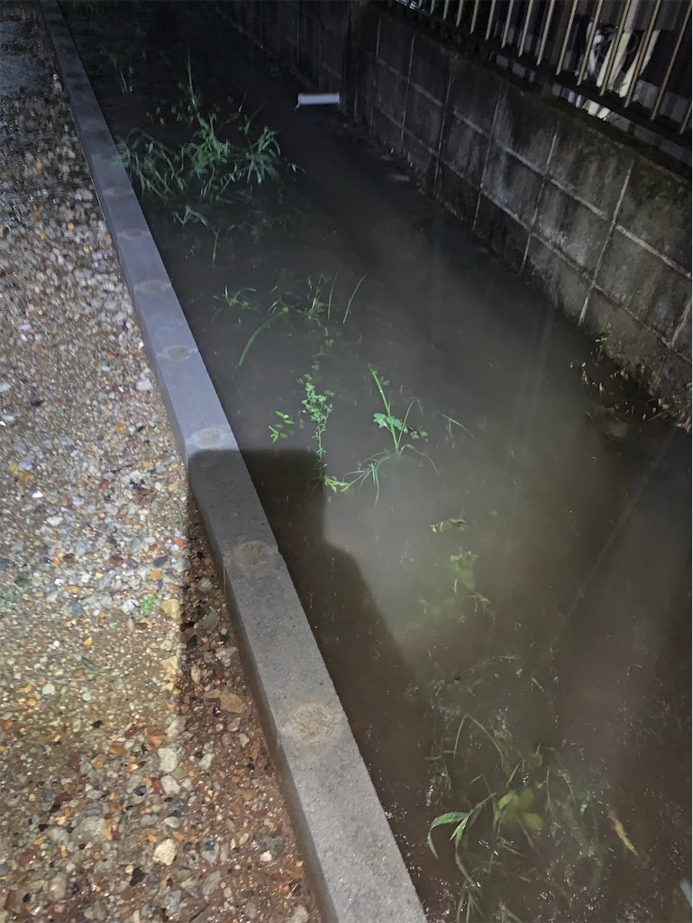 f:id:boonosuke:20220828120143j:image