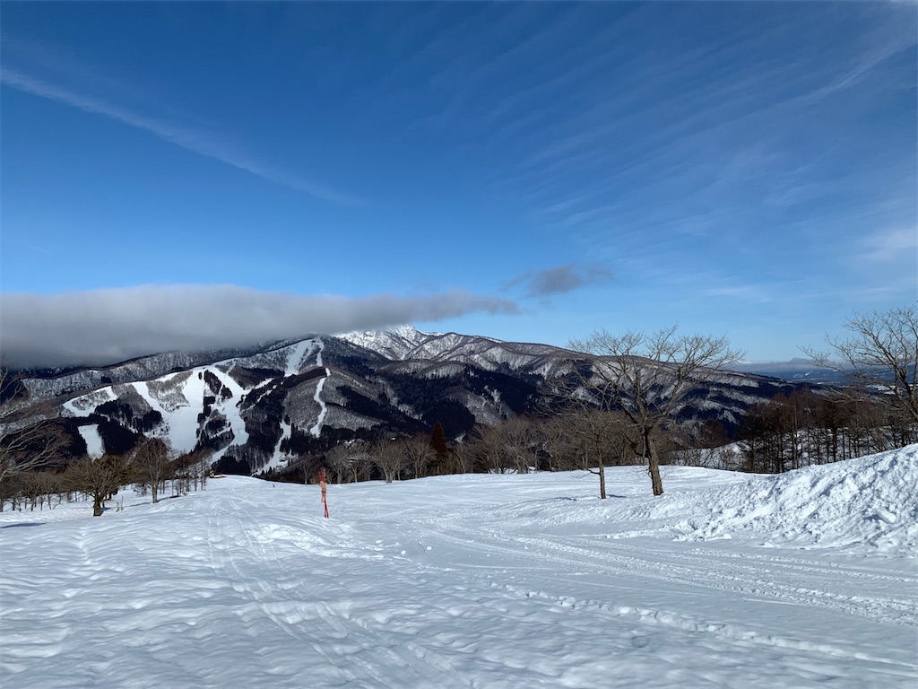 f:id:boonosuke:20240123183816j:image