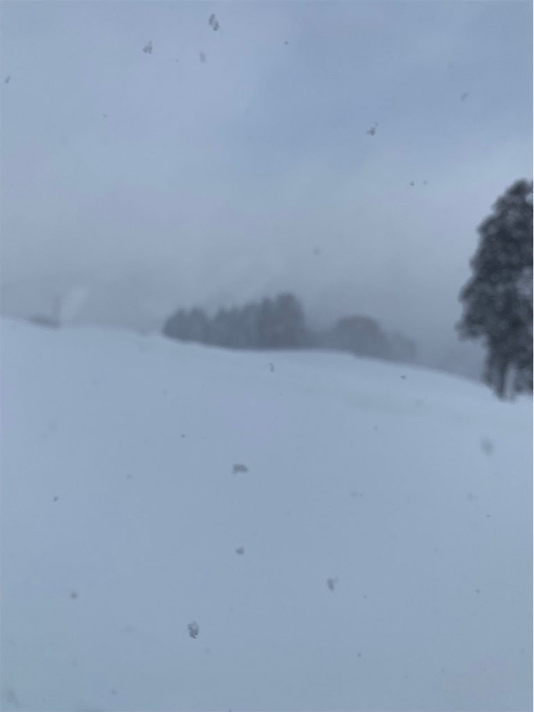 f:id:boonosuke:20240814162543j:image
