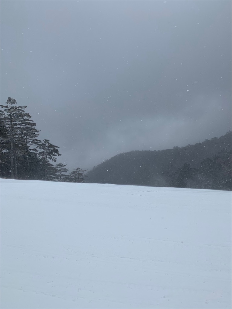 f:id:boonosuke:20240901110956j:image f:id:boonosuke:20240901110956j:image
