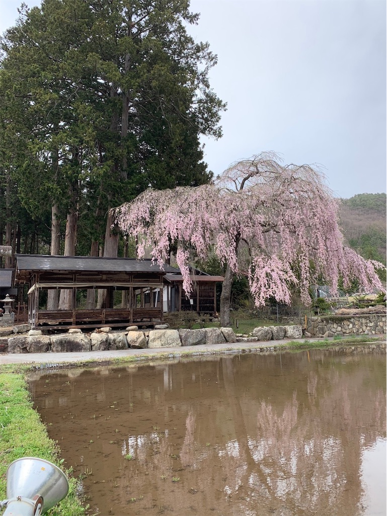 f:id:boonosuke:20241005160613j:image