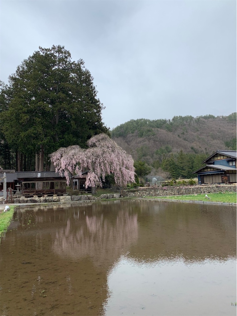 f:id:boonosuke:20241005160620j:image