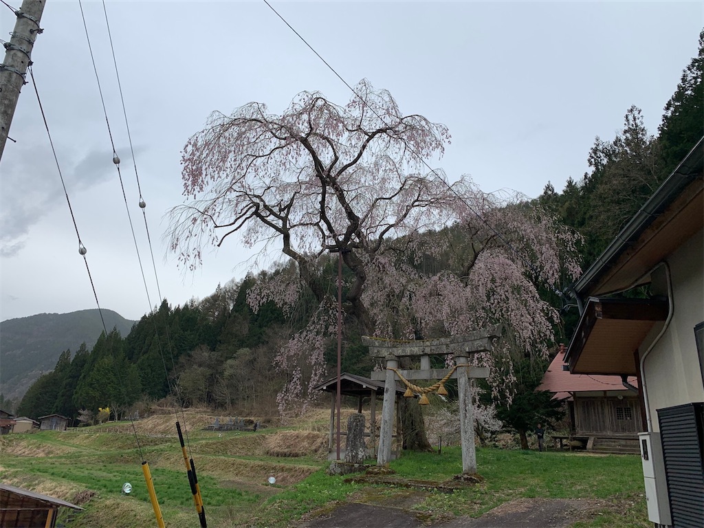 f:id:boonosuke:20241005160711j:image