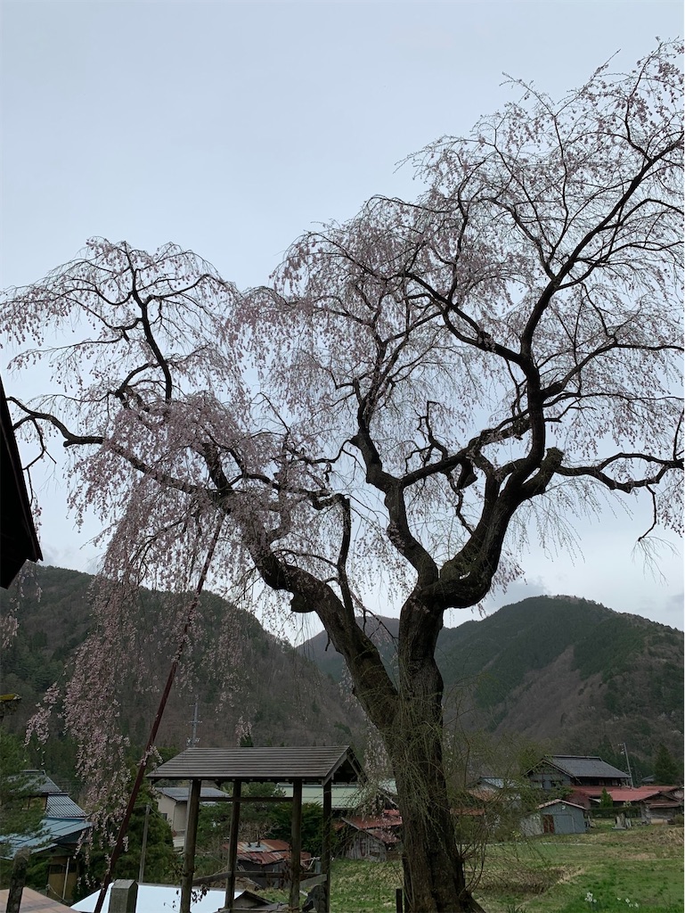 f:id:boonosuke:20241005160719j:image