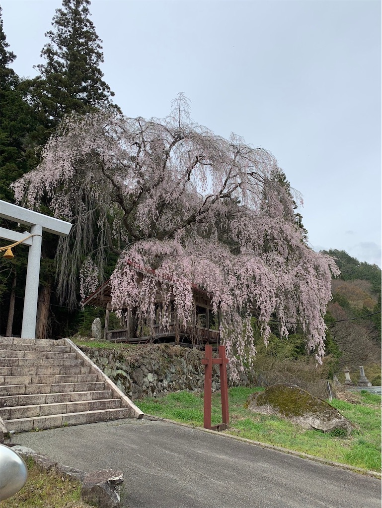 f:id:boonosuke:20241005160722j:image