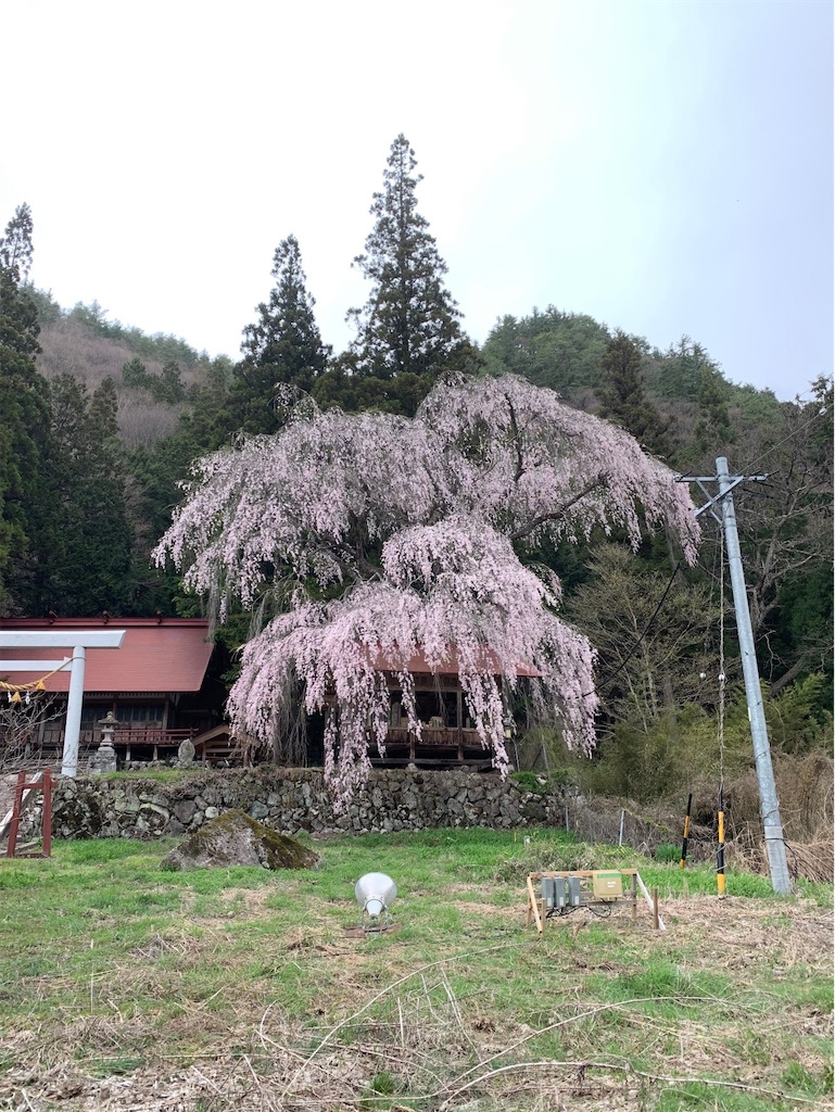f:id:boonosuke:20241005160729j:image
