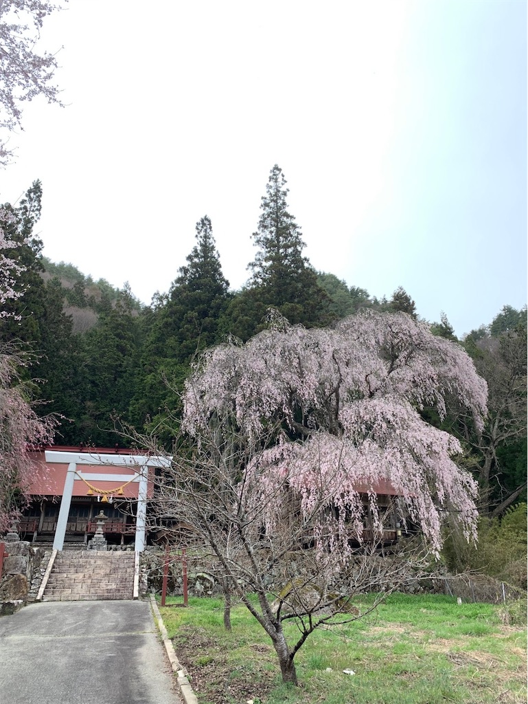 f:id:boonosuke:20241005160736j:image