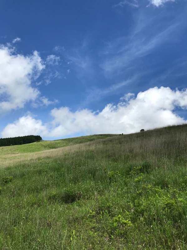 f:id:boonrich:20180701095113j:plain f:id:boonrich:20180701095113j:plain