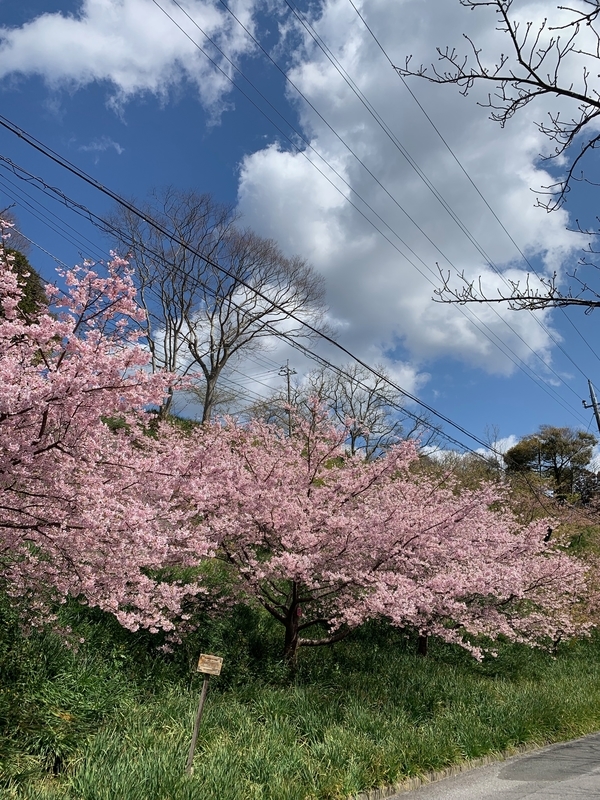 f:id:boonrich:20190309111441j:plain f:id:boonrich:20190309111441j:plain