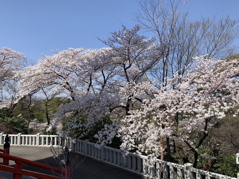 f:id:boonrich:20190406104907j:plain f:id:boonrich:20190406104907j:plain
