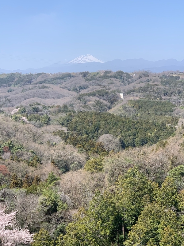 f:id:boonrich:20190406110030j:plain f:id:boonrich:20190406110030j:plain