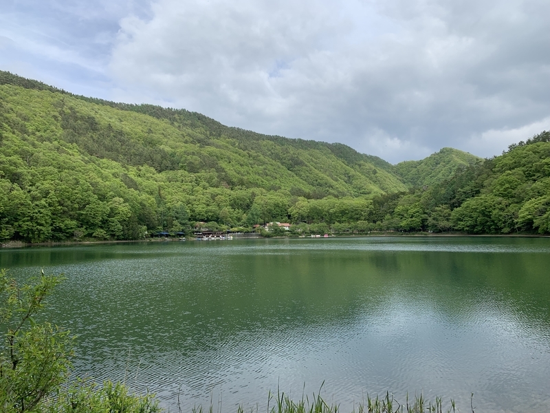 f:id:boonrich:20190518144437j:plain f:id:boonrich:20190518144437j:plain