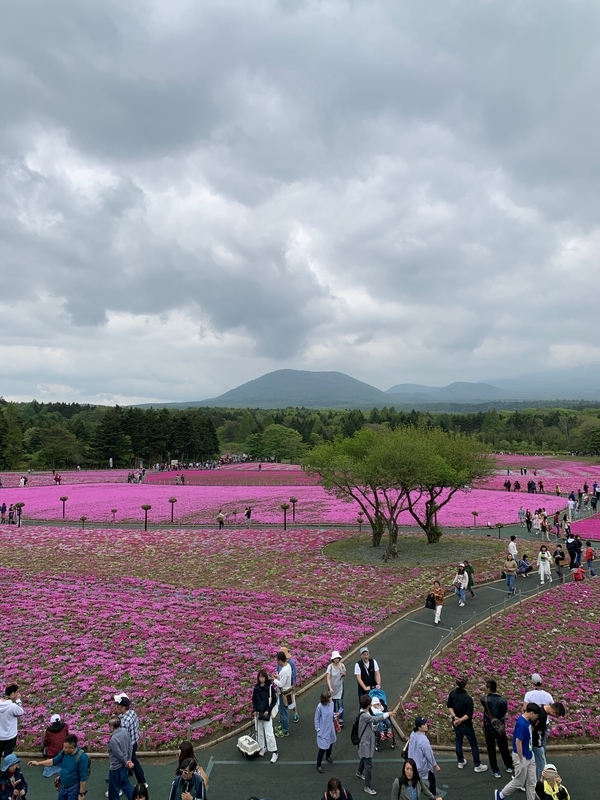 f:id:boonrich:20190519111611j:plain f:id:boonrich:20190519111611j:plain