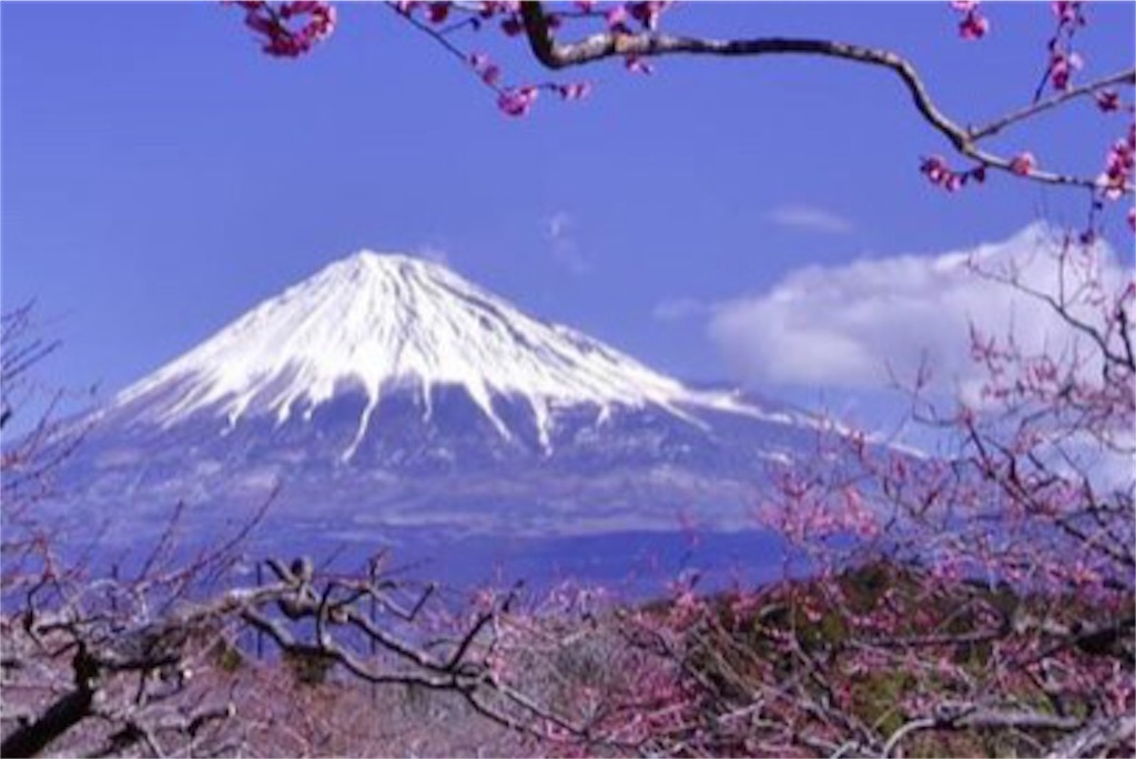 f:id:booooooongun:20220106011839j:image f:id:booooooongun:20220106011839j:image
