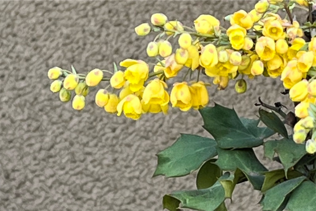 f:id:booooooongun:20220324003346j:image f:id:booooooongun:20220324003346j:image