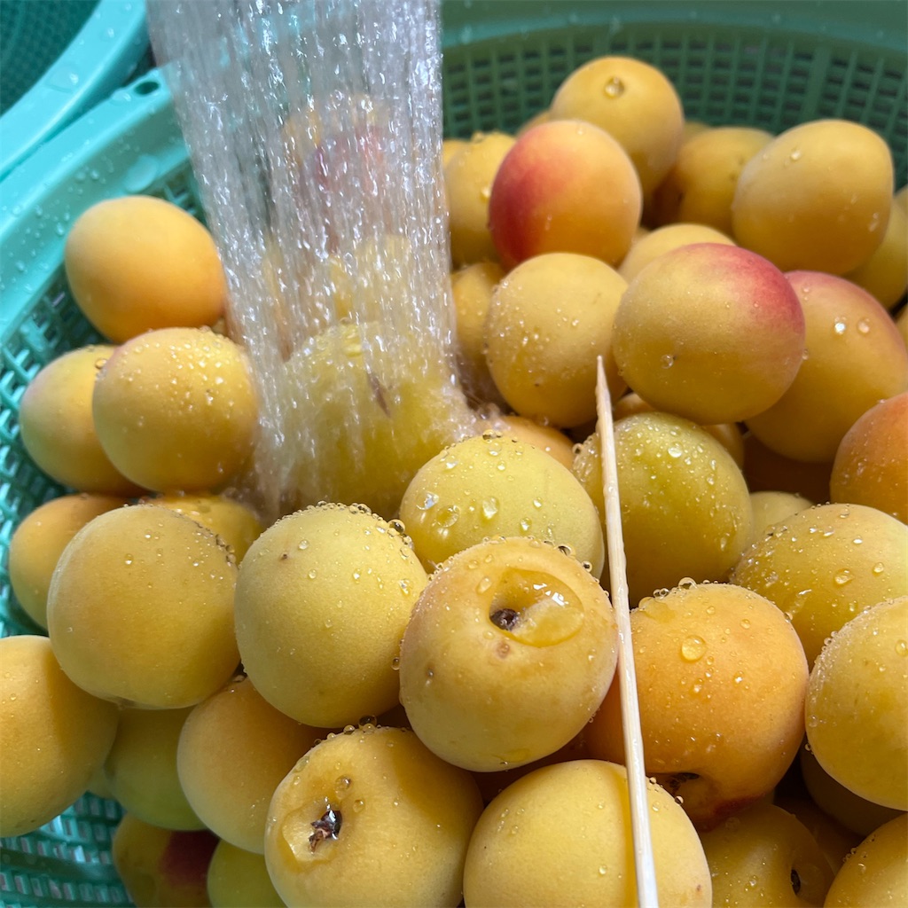 f:id:booooooongun:20220614015837j:image f:id:booooooongun:20220614015837j:image