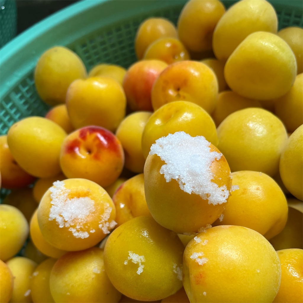 f:id:booooooongun:20220614015855j:image f:id:booooooongun:20220614015855j:image