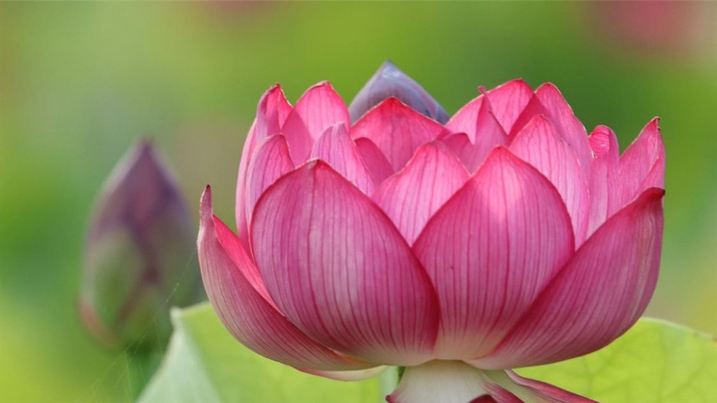 f:id:booooooongun:20220709023428j:image f:id:booooooongun:20220709023428j:image