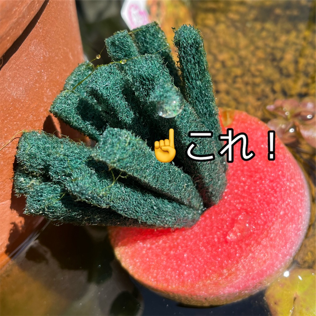 f:id:booooooongun:20230409201004j:image