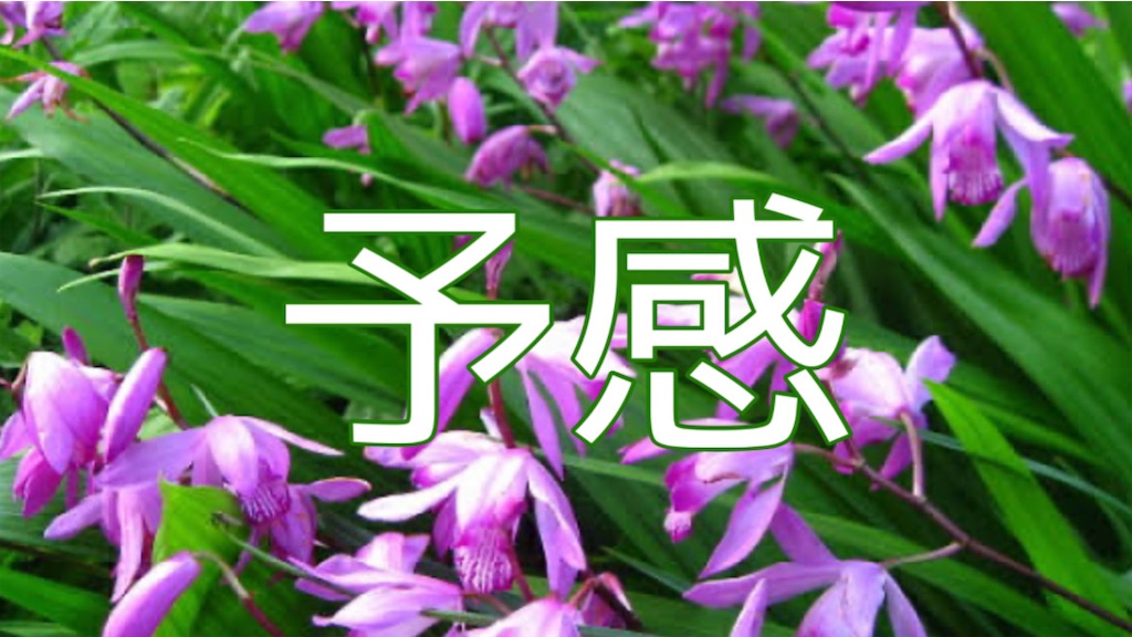 f:id:booooooongun:20230421174355j:image f:id:booooooongun:20230421174355j:image