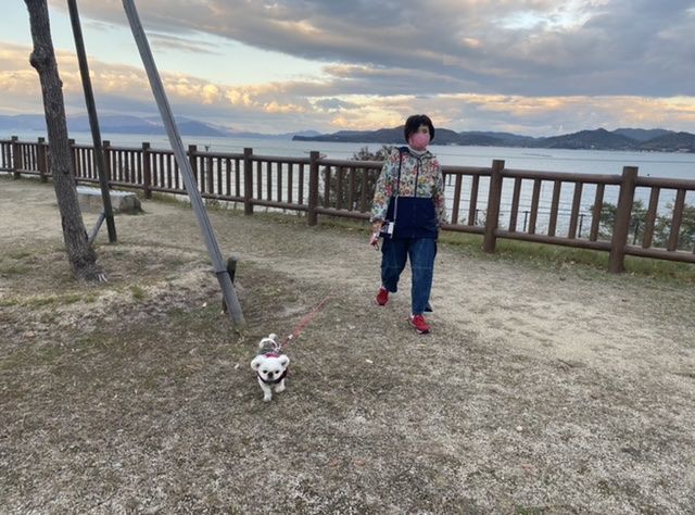f:id:boosanpo:20201204102527j:plain
