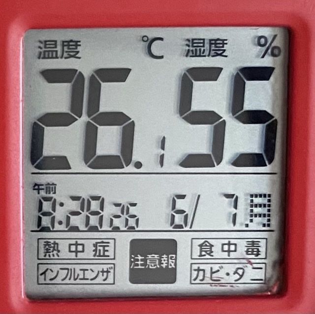 ウシガエル と ぱわわ キャンピングカー放浪記 ぶー散歩