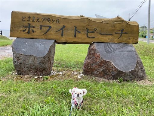 ほっとうにん