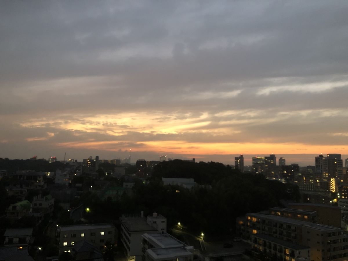 f:id:boosuka-asuka:20190705222136j:plain f:id:boosuka-asuka:20190705222136j:plain