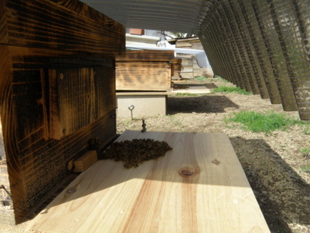 f:id:boot:20111104121031j:image:w360