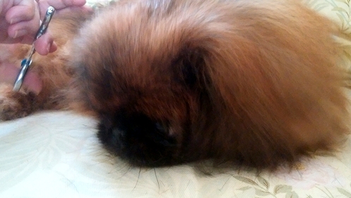 201807011.jpg