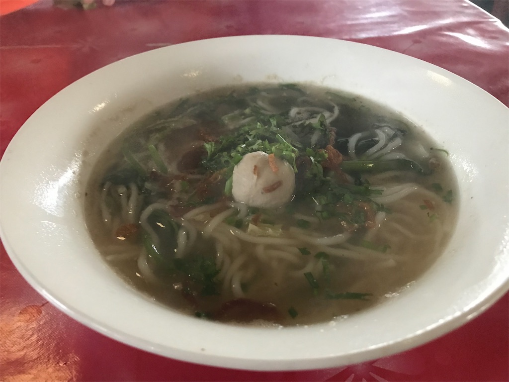 f:id:bopenyan_shiho:20190602221350j:image