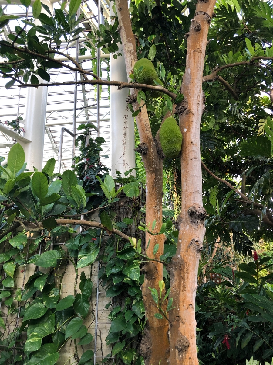 f:id:bor-1124:20190507220710j:plain