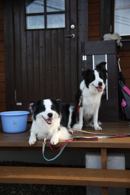 f:id:border-pichi:20120730071243j:plain