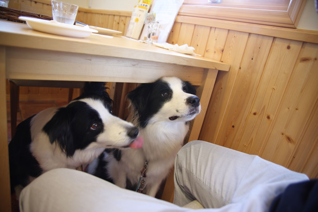 f:id:border-pichi:20120730135540j:plain