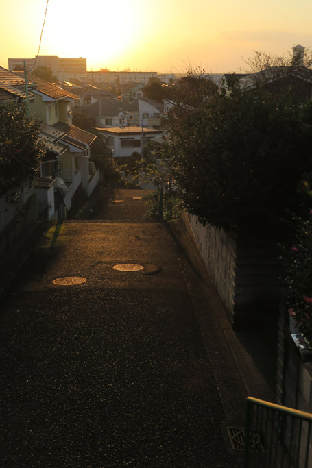 f:id:border-pichi:20181103120452j:plain