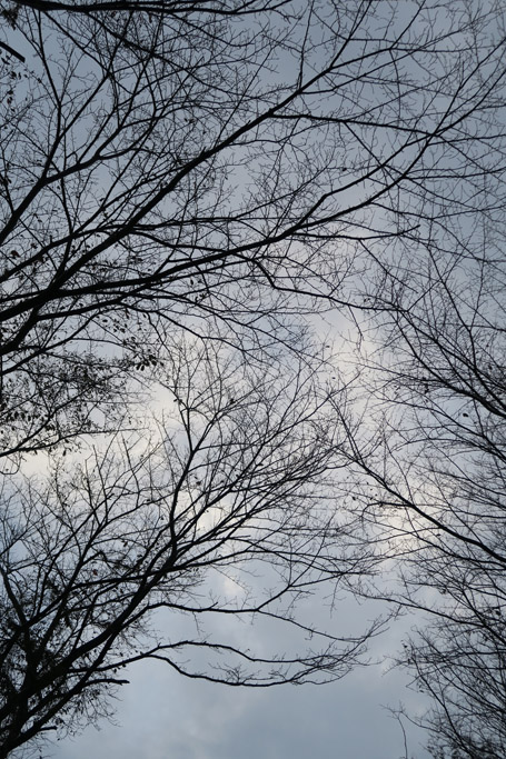 f:id:border-pichi:20181104190720j:plain