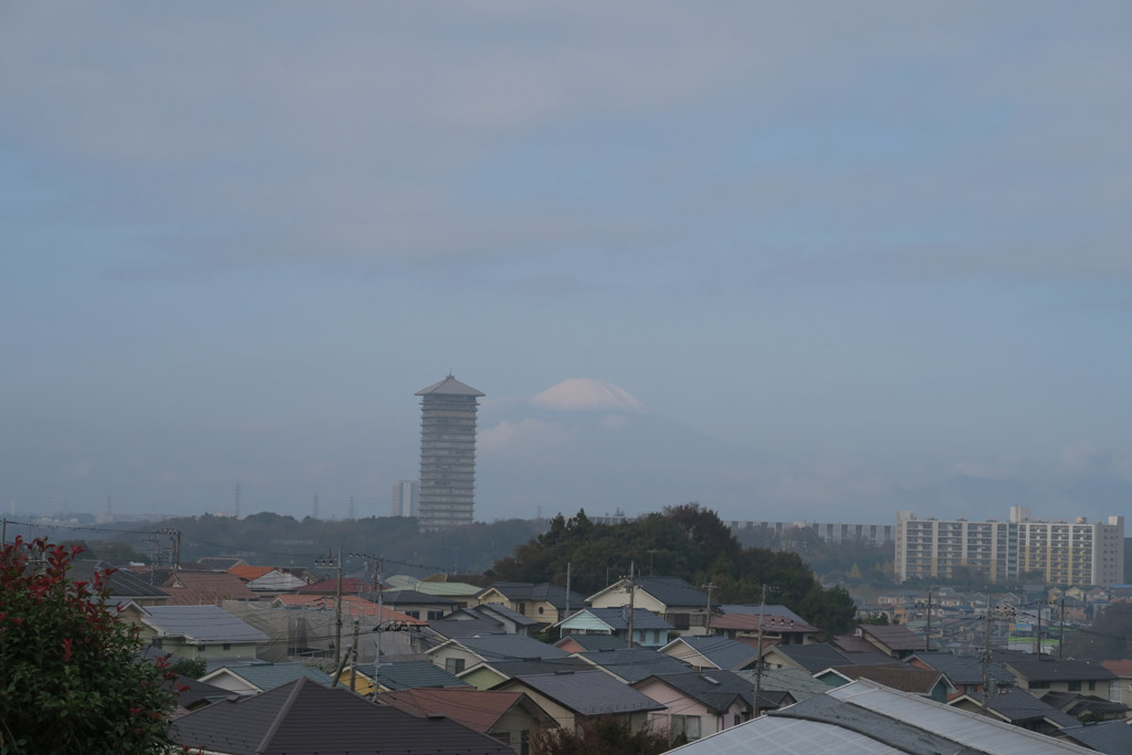 f:id:border-pichi:20181110120953j:plain