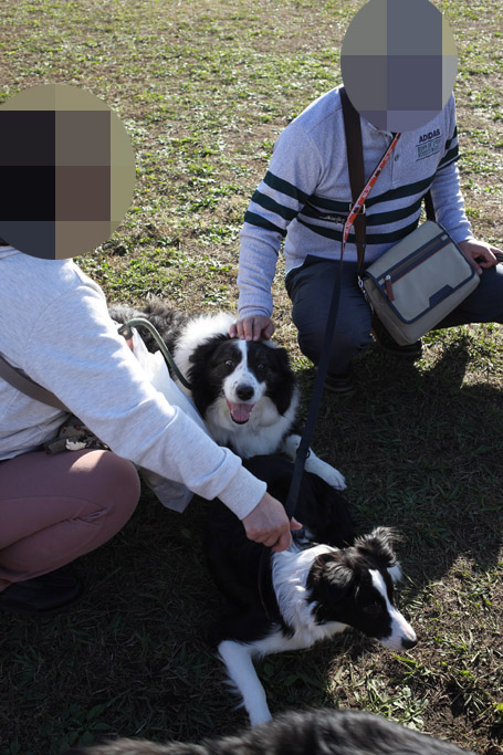 f:id:border-pichi:20181124004447j:plain f:id:border-pichi:20181124004447j:plain