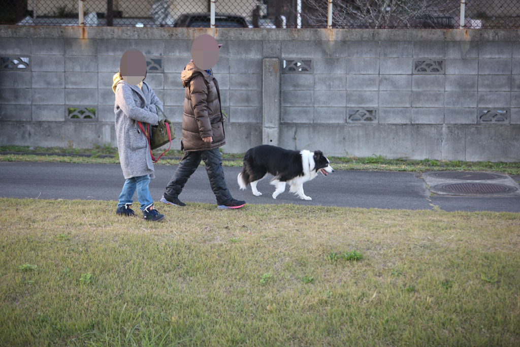 f:id:border-pichi:20181125183727j:plain